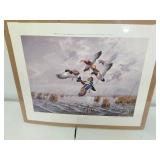 Mark Anderson Print