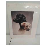 Kevin Daniel Print