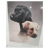 Kevin Daniel Print