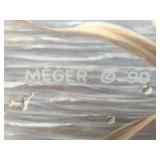 James A. Meger Print