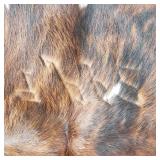 Huge Brindle Cow Hide Rug