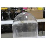 Glass Cloche 31"Hx12"D  with Wood Base