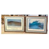 Framed Scenic Wave Pictures