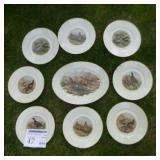 Lot of (8) Hand Painted Pheasant Collectible Plates  with One Collectible Platter