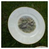Lot of (8) Hand Painted Pheasant Collectible Plates  with One Collectible Platter
