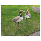 Lot of (2) Vintage Goose Decoys