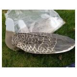 Lot of (12) Decoys  with Carry Bag