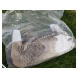 Lot of (12) Decoys  with Carry Bag
