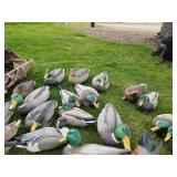 Lot of (34) Duck Decoys  with Cabella