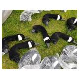 Lot of (Approximately 3) Decoy Bodies  with Hunter