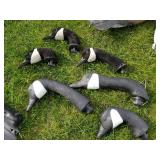 Lot of (5) Decoy Bodies  with Carry Bag and 6 Decoy Heads