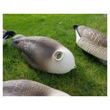 Lot of (5) Decoy Bodies  with Carry Bag and 6 Decoy Heads