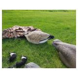 Lot of (5) Decoy Bodies  with Carry Bag and 6 Decoy Heads
