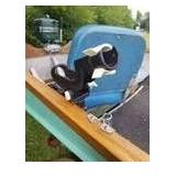 Aluminum 3-Person Fishing Boat with a Mercury Kiekhaefer Mark 7 7.5hp Outboard Motor, Single-Axle Trailer