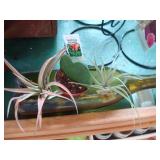 Bottle Planters