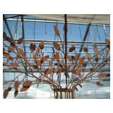 Tree Display