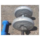 Assorted Free Weights