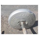 Assorted Free Weights