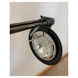 Adjustable Arm Halogen Desk Lamp