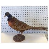Pheasant Mounted on Wood Base