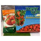 Strawberries, Strawberries, Strawberries