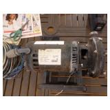 Century Pool & Spa Pump
