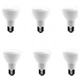 50-Watt Equivalent R20 Dimmable LED Light Bulb Daylight (6-Pack)