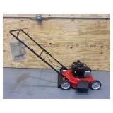 YARD MACHINES 20 in. 125 cc OHV Briggs and Stratton Gas Walk Behind Push Mower