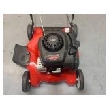 YARD MACHINES 20 in. 125 cc OHV Briggs and Stratton Gas Walk Behind Push Mower