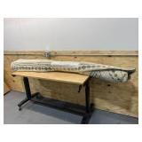 Large Area Rug
