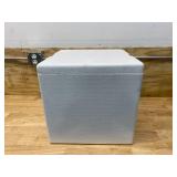THERMO CHILL Insulated Shipper