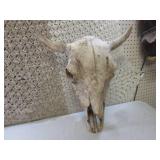 (FDS) Buffalo Skull ...