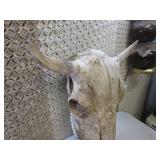 (FDS) Buffalo Skull ...