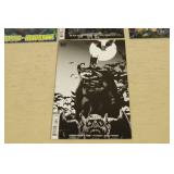 Batman Comic Books - Shadow, Eternal, White Knight