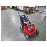 Troy-bilt 21 in. 140 cc 550ex Series Briggs & Stratton Gas Walk Behind Push Mower TB110