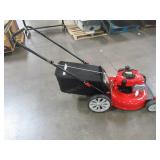 Troy-bilt 21 in. 140 cc 550ex Series Briggs & Stratton Gas Walk Behind Push Mower TB110