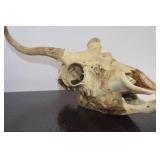 Deer Mounts