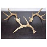 Antlers
