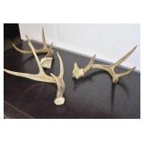 Antlers