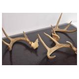 Antlers