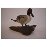 Pheasants Forever Duck