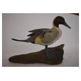 Pheasants Forever Duck