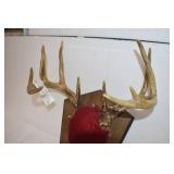Deer Mounts
