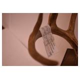 Deer Mounts