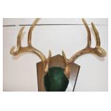 Deer Mounts