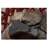Various Rocks and Minerals