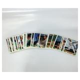 831 1993 Baseball Cards