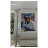 Hard Cased Baseball Cards