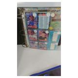 Collectible Baseball Items