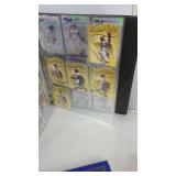 Collectible Baseball Items